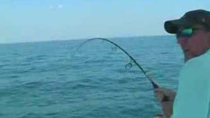 If a FISH jumped INTO your BOAT, what would you do?
