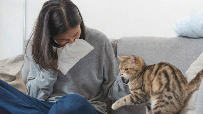 When should I tell a date I'm super allergic to cats?
