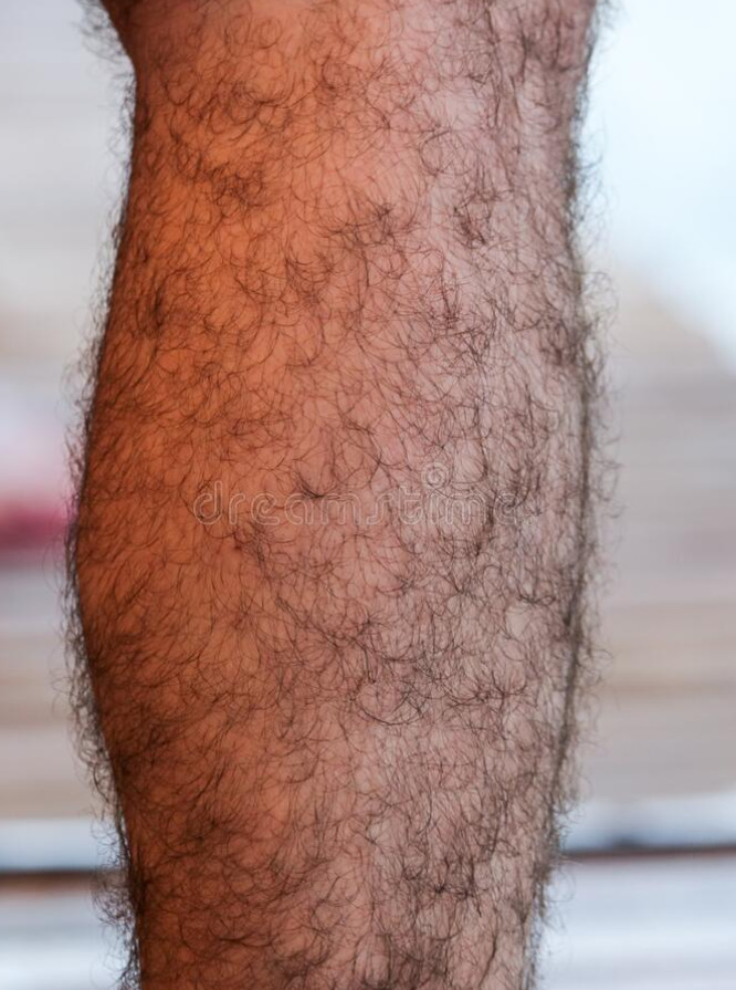 Guys, Do you have HAIRIER ARMS, CHEST or LEGS?