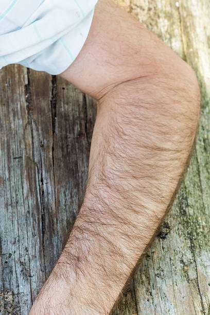 Guys, Do you have HAIRIER ARMS, CHEST or LEGS?