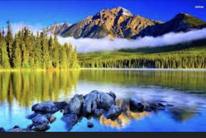 Post picture that illustrates BEAUTY?
