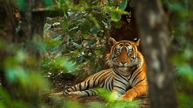 Post picture that illustrates BEAUTY?