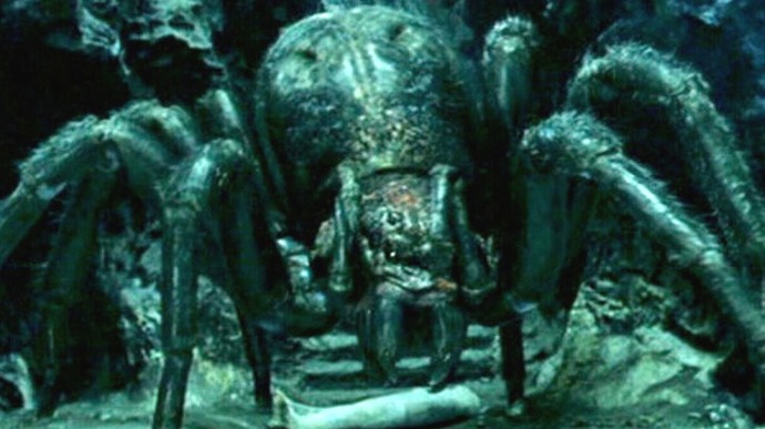Does anybody else love Spiders, or am I just a lunatic?