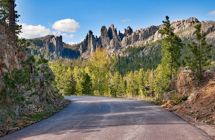 If you had to live in one of these states, which one would you choose?