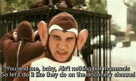 Is this what they call a SIMIAN DATE?