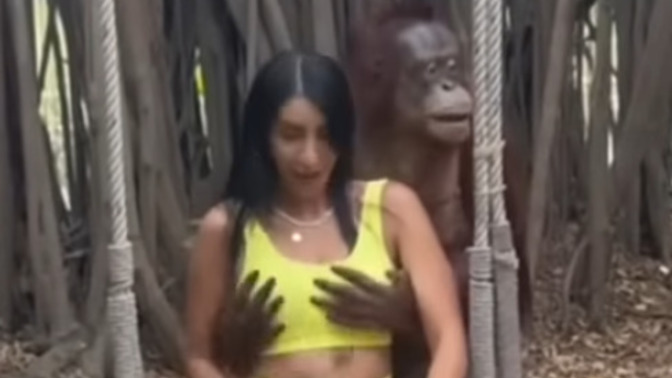 Is this what they call a SIMIAN DATE?