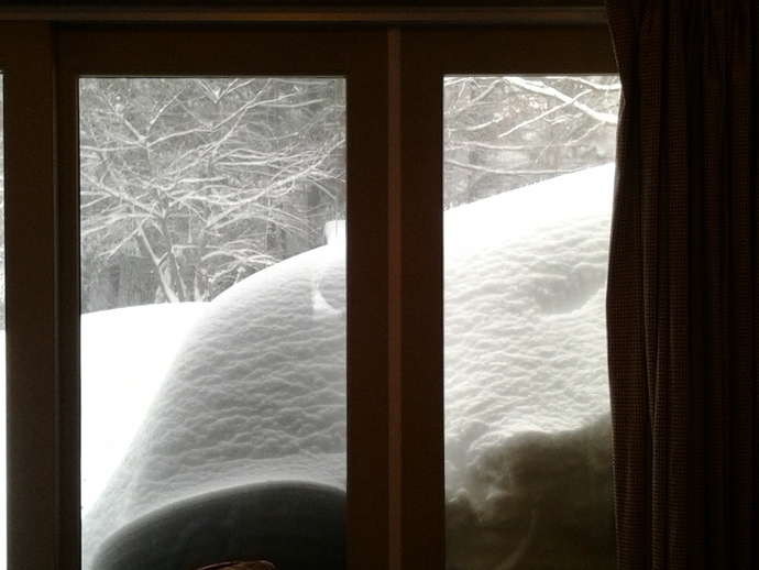 Winter Wonderland