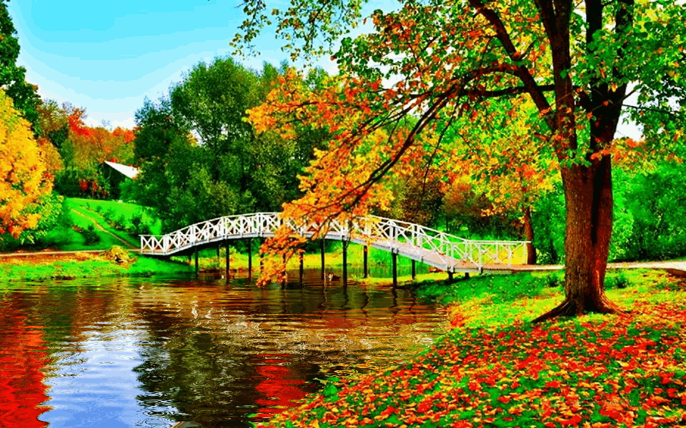 What is your favorite season?