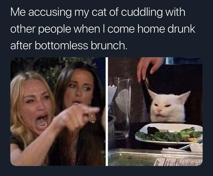Do you have a favorite Gif/Meme?