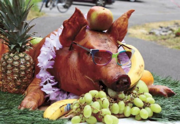 Have you ever been to a spit roast?