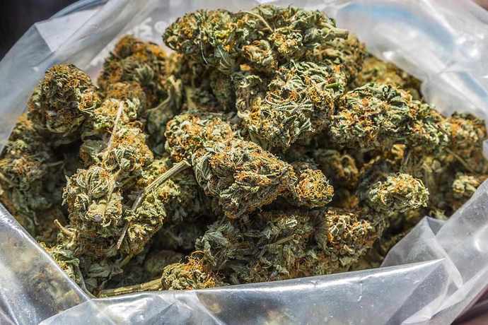 What’s your recreational drug of choice?