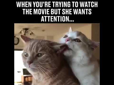 How do you react when your lover playfully demands: Pay attention to me PLEASE but youre currently doing something thats not urgent but fun for you?