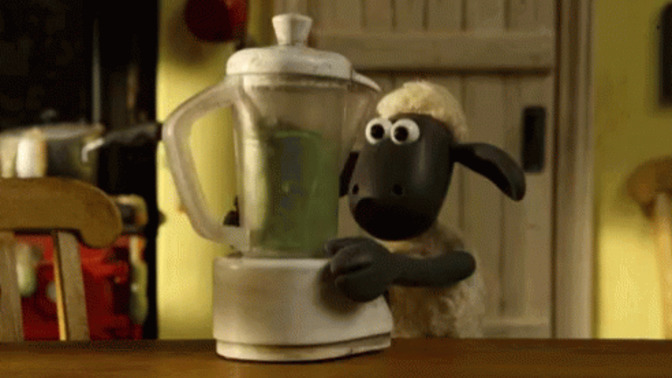 What brand of smoothie blender do you like?
