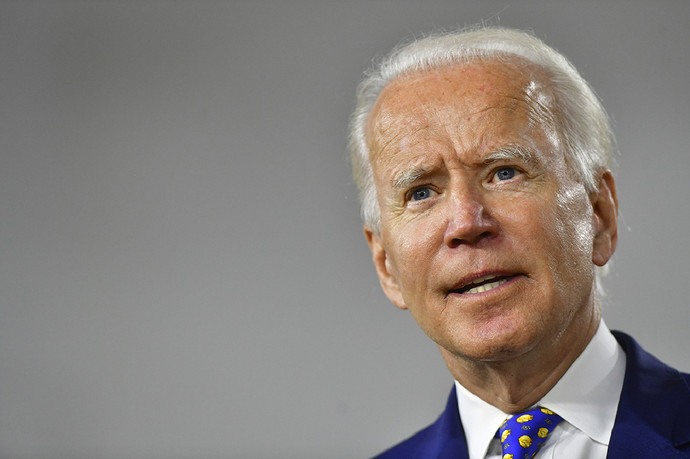 Can you give your top ten reasons why you voted for Biden in the primary?