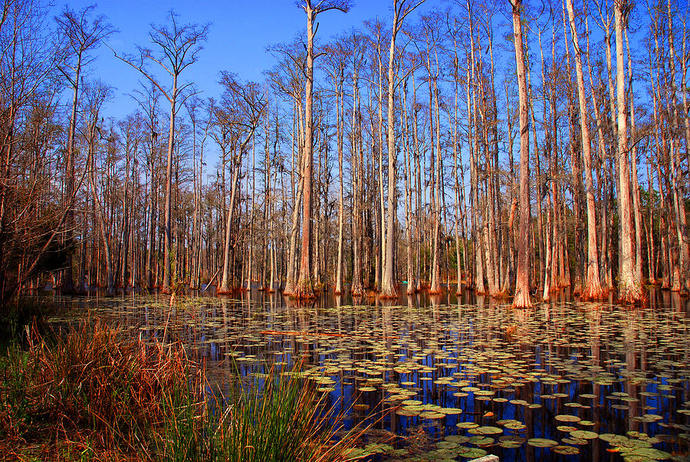 Which landscape do find the most beautiful ?