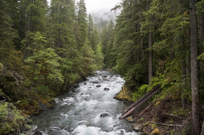 Which landscape do find the most beautiful ?