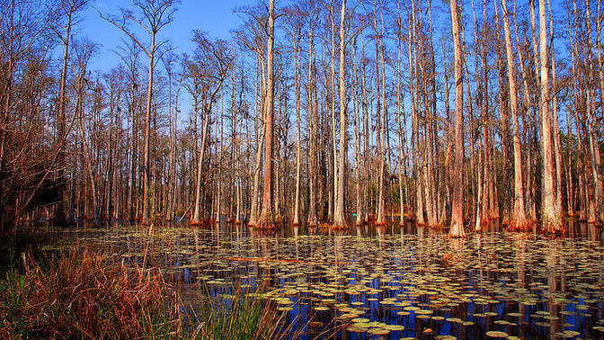 Which landscape do find the most beautiful?