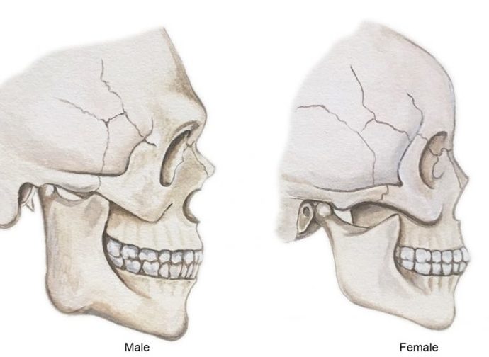 Untrannify's profile background