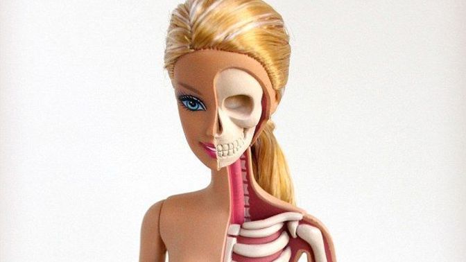 Would you buy your child an ANATOMICALLY CORRECT BARBIE doll?