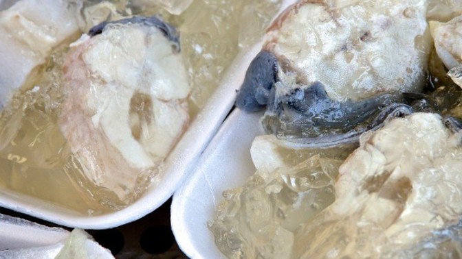Have you ever eaten jellied eels?