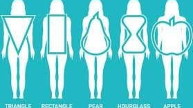 Guys which is your favorite body type? Women which one are you?