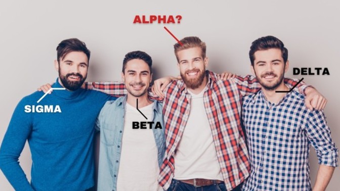 What is an alpha male? What separates him from a beta male in your opinion?