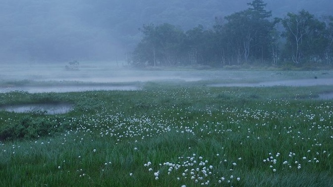 What’s your realistic heaven on earth look like?