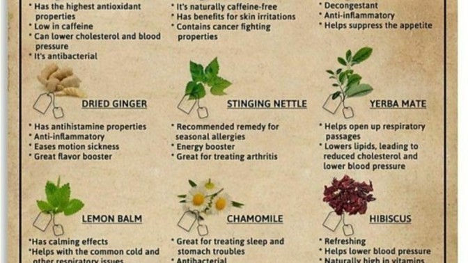 How many are you into consuming herbal tea. What are your favorite and least favorite ones?