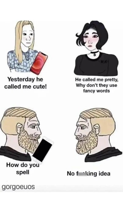 Are you beautiful or cute?