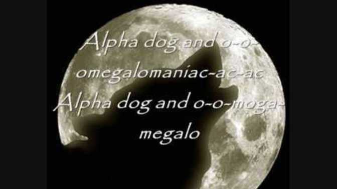 Do you believe in “alpha males” (🙄)?