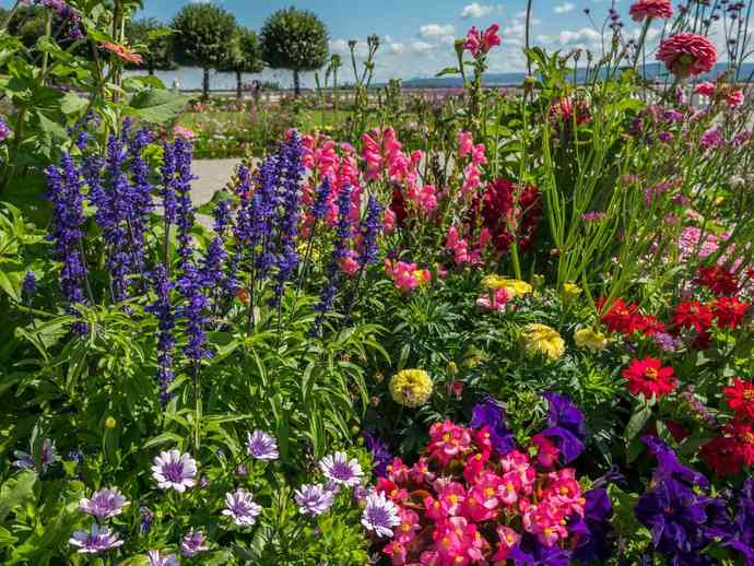 If it turns out after we die we are reincarnated into plants in the next life which plant would you like to be?