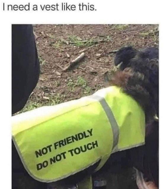 If you have a warning vest that best describes you, what will it say?
