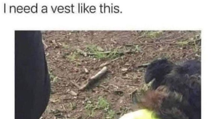 If you have a warning vest that best describes you, what will it say?
