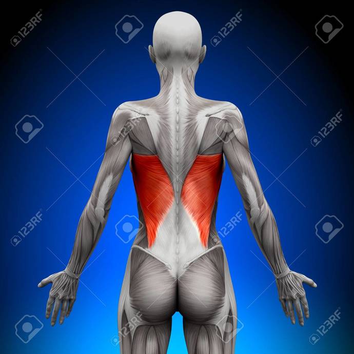 Do you have a FLAT upper and lower abdomen?