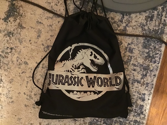 What kind of bag do you usually carry?