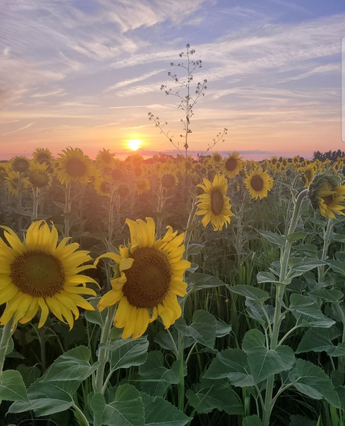 What type of pictures and videos do you like to take?