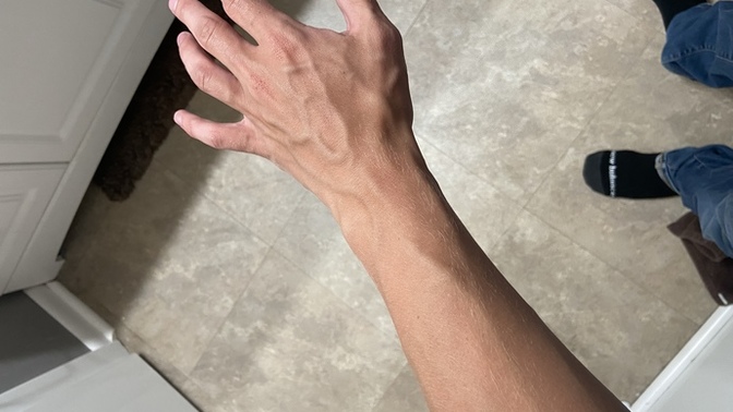 Are defined forearm veins attractive or unattractive?