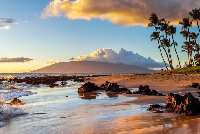 Which vacation would you rather take ?