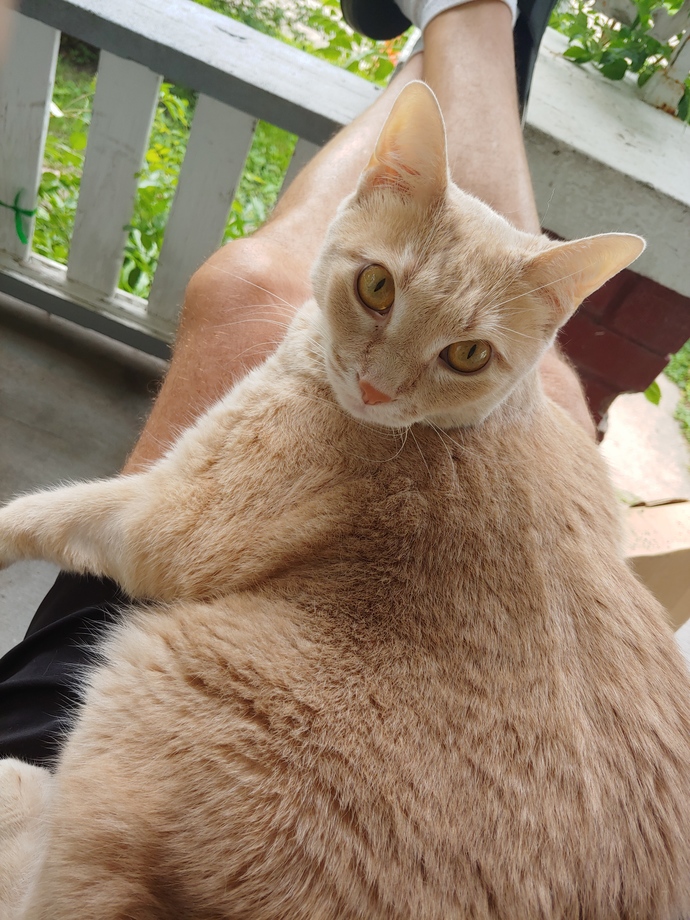Would you break up with someone if your pet doesn’t like them? Why/why not?