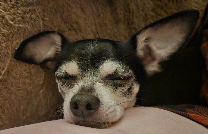 Are there people who love you?