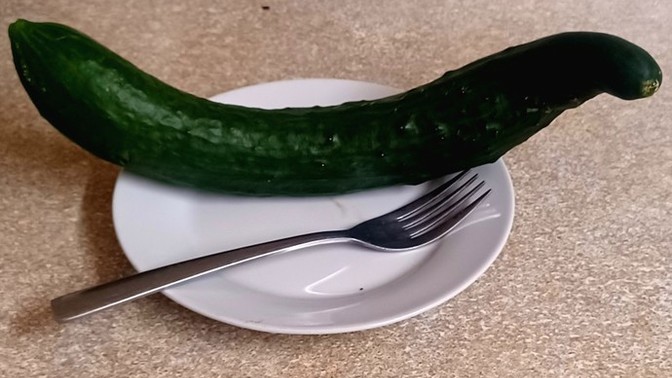 What can I do with a misshapen bumpy cucumber?