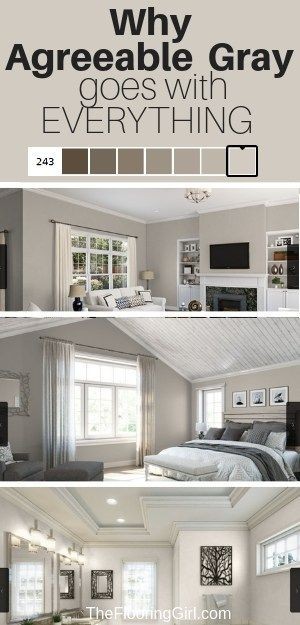 What color scheme do you want your house/future house to be?