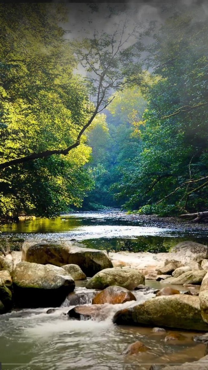 What's 1 thing you love so much about Nature?