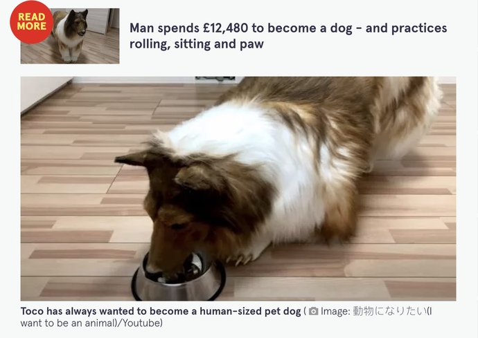 How do you feel about the man that lives his life as a dog going to the park to play with other dogs?