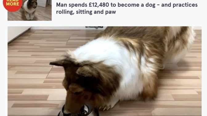 How do you feel about the man that lives his life as a dog going to the park to play with other dogs?