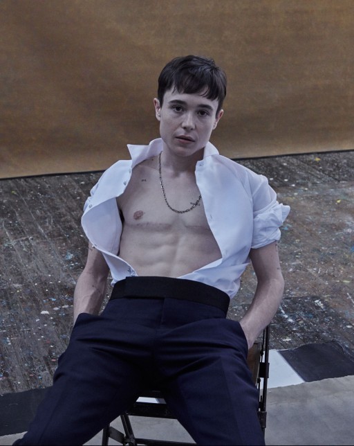 Ladies. Do you find Elliott Page. Whos an transgender man to be very attractive. Would you imagine dating him?