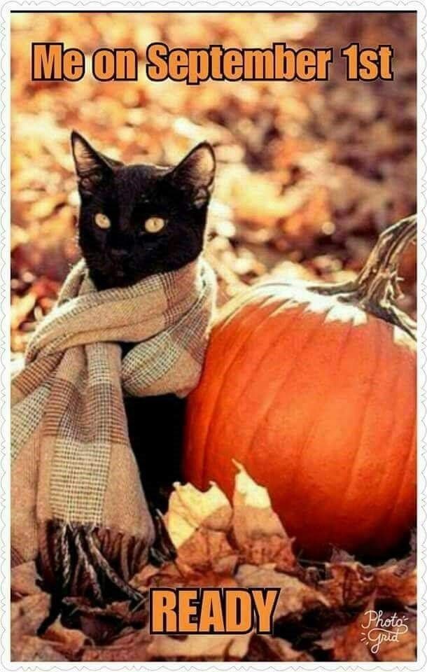 Its all things pumpkin spice in the US, do you partake?
