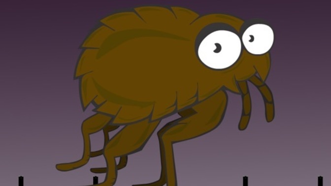 What are YOUR tips for getting rid of fleas?