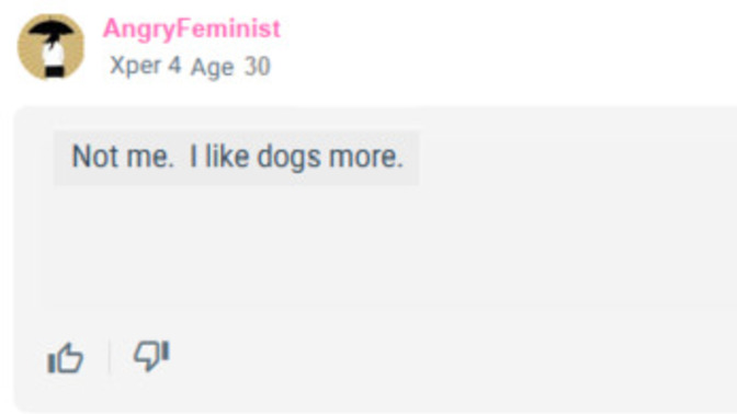 Why do girls like cats more and guys like dogs more?