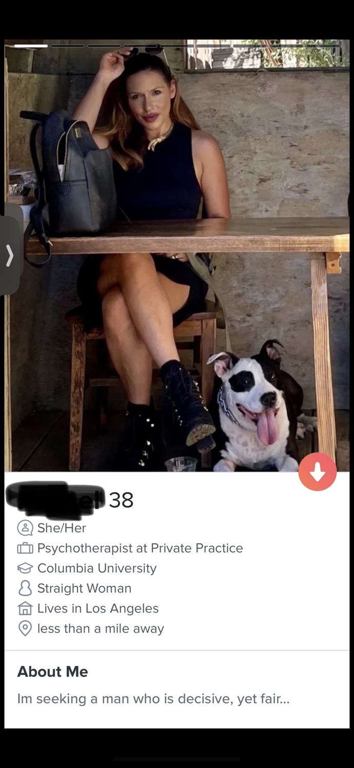 Guys, what is your impression of this dating profile bio?